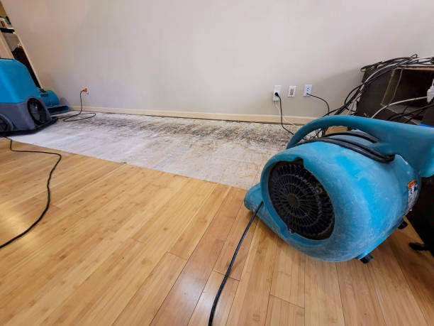 Professional Flood Damage Cleanup technician working in Panorama City, CA